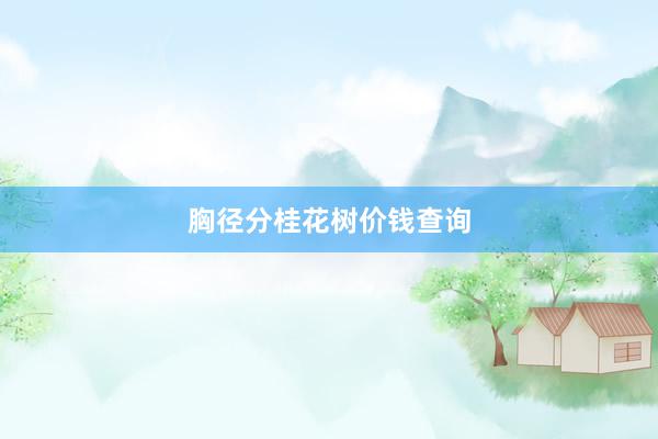 胸径分桂花树价钱查询