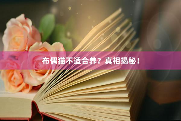 布偶猫不适合养？真相揭秘！