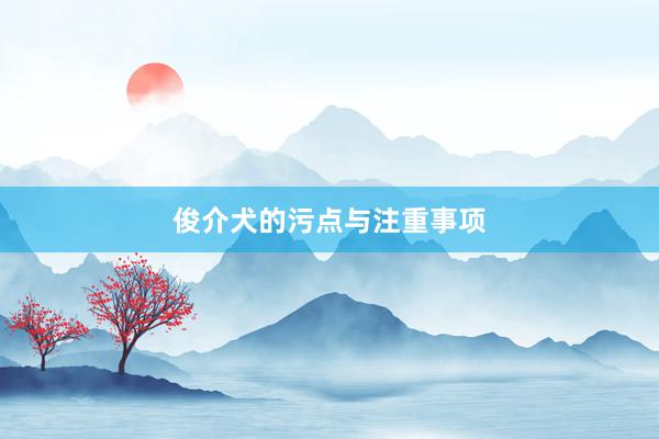 俊介犬的污点与注重事项