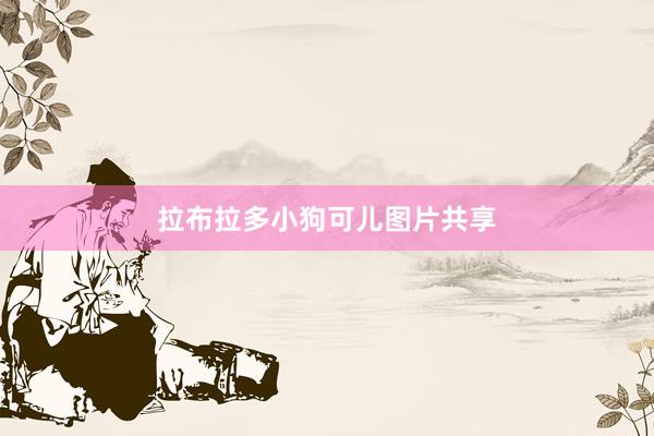 拉布拉多小狗可儿图片共享