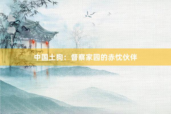 中国土狗：督察家园的赤忱伙伴